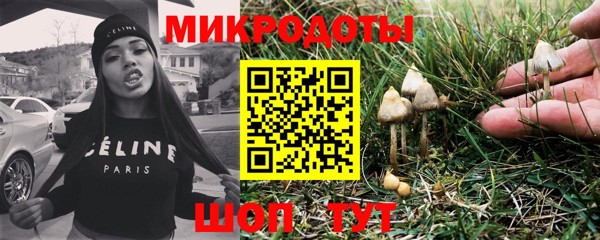 Бузулук  Галлюциногенные грибы мицелий  Псилоцибиновые грибы Cubensis  Вход с VPN 
