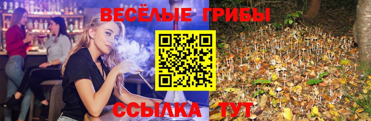Псилоцибиновые грибы прущие грибы Бузулук